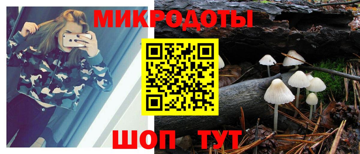 Галлюциногенные грибы мухоморы Балашиха