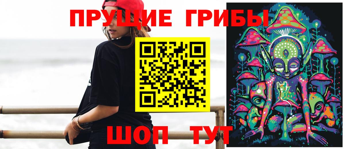 Балашиха  как найти наркотики  Вход с VPN  Галлюциногенные грибы Psilocybine cubensis  Галлюциногенные грибы Psilocybine cubensis 
